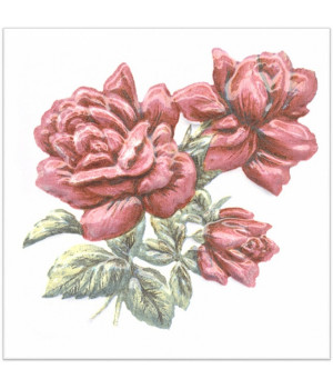 Декор Оранжерея Розы